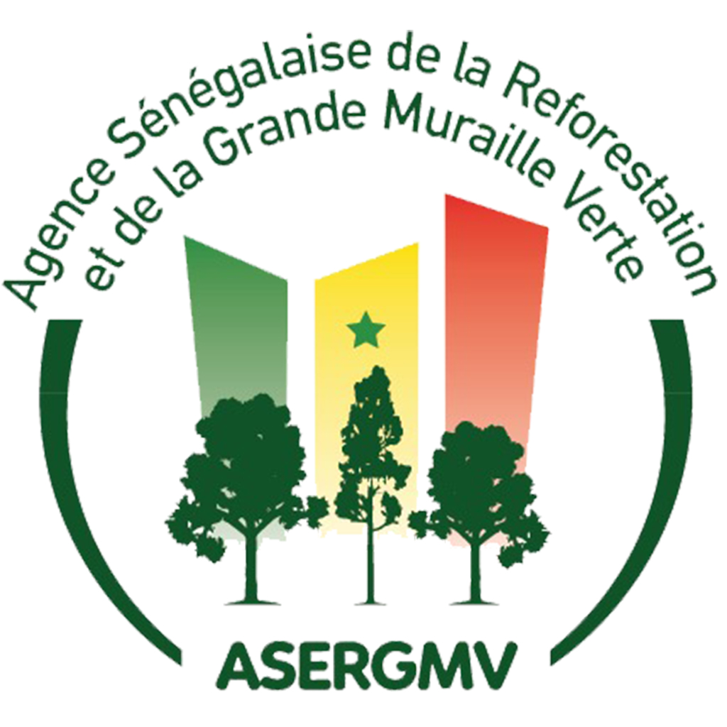 ASERGMV