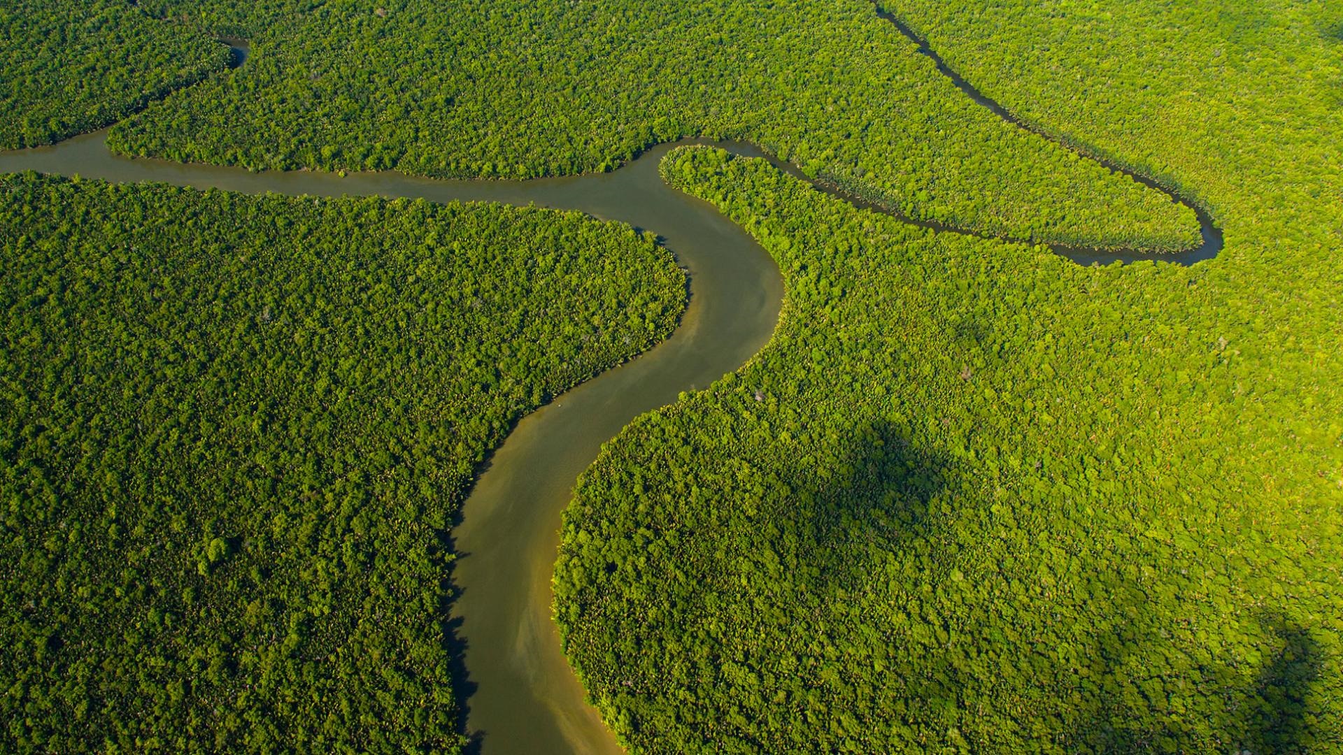 ENVIRONNEMENT, SOCIAL & GOUVERNANCE (ESG)
